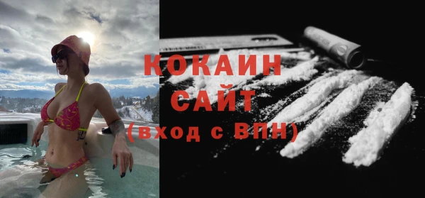 шишки Вязники