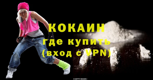 шишки Вязники