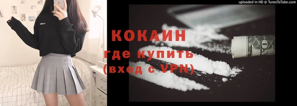 шишки Вязники