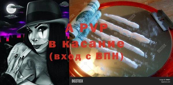 шишки Вязники