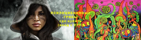 шишки Вязники