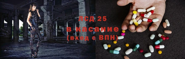 шишки Вязники