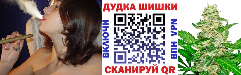 Шишки марихуана конопля  Купить где  Шебекино 